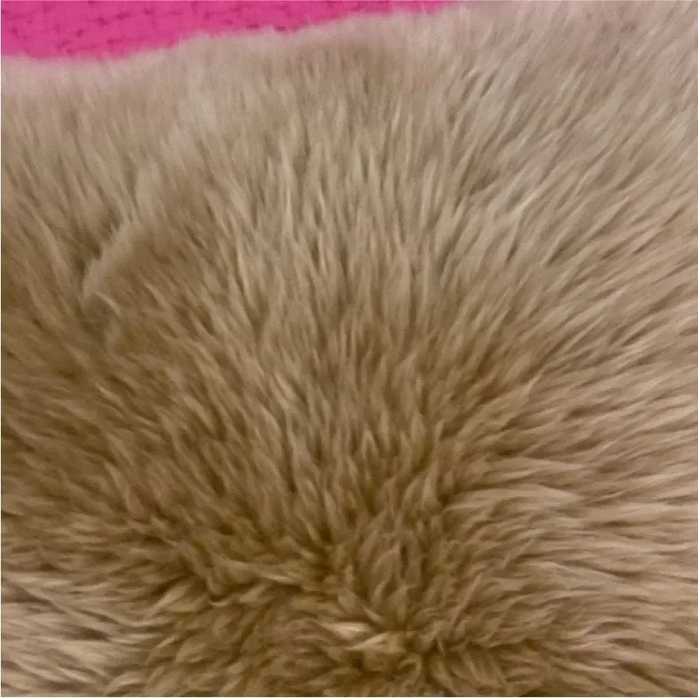 Williams Sonoma lamb Fur Pillow - Beige